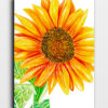 canva f. girasol m.a.