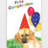 tarjeta pepa f cumple.m.a.