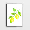 canvas limones 2